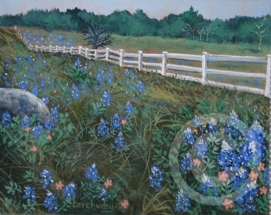 Texas Blue Bonnets