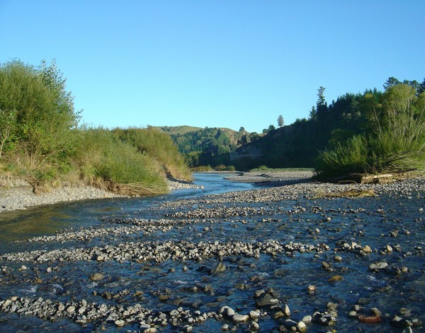 Pohangina River