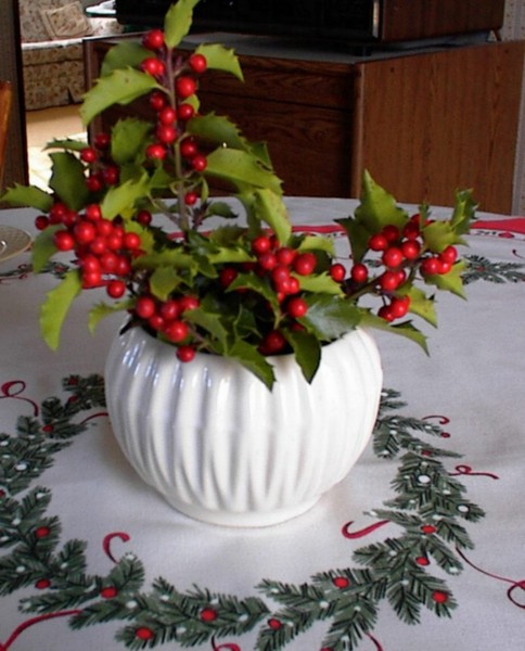 A Holiday Table