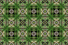 Kaleidograph Eightkal