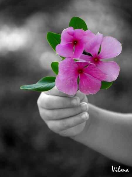 Child Holding Flowers