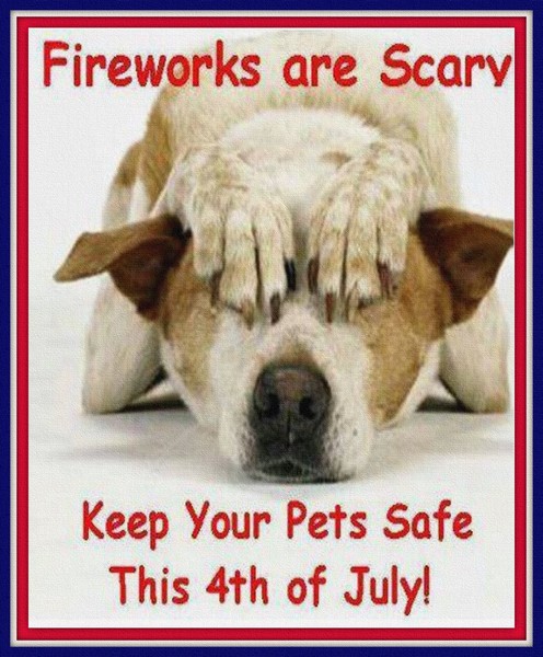 Help Keep Your Pet's Safe...