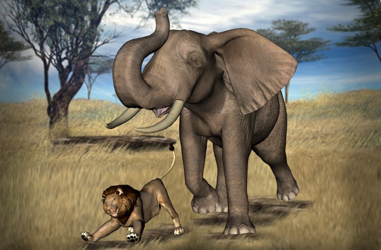 18elefleon