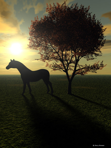 Horse