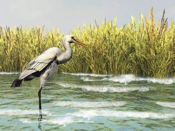 No Egrets