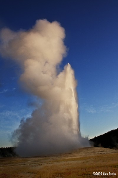 Old Faithful at Sunrise