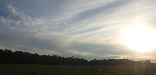 SKY ART