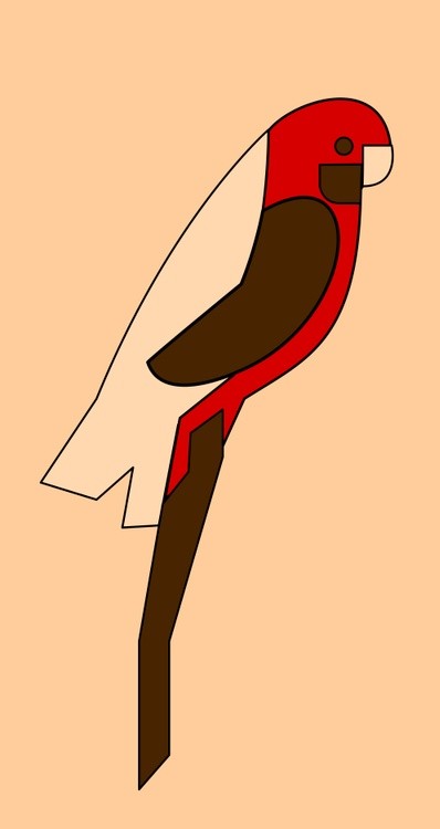 !?-0500-crimson-rosela