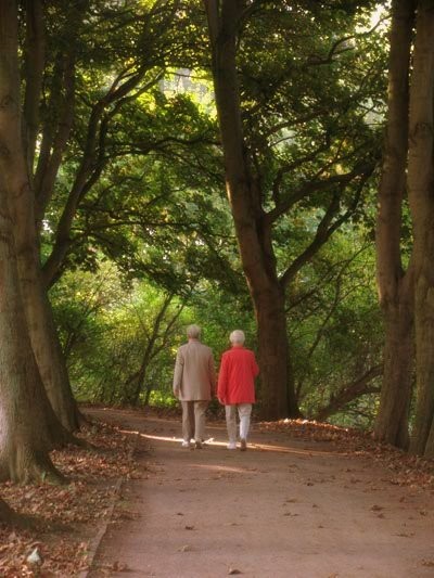 Path of Life