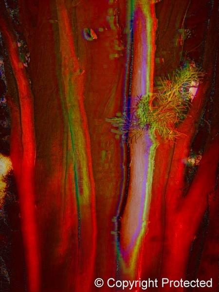 intriguing light