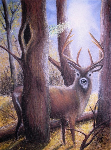Stag