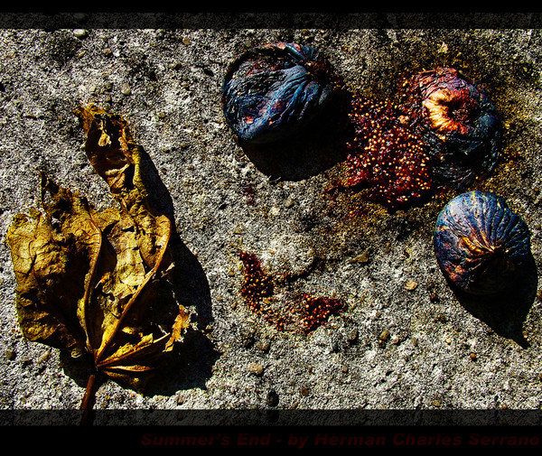 Summer's End