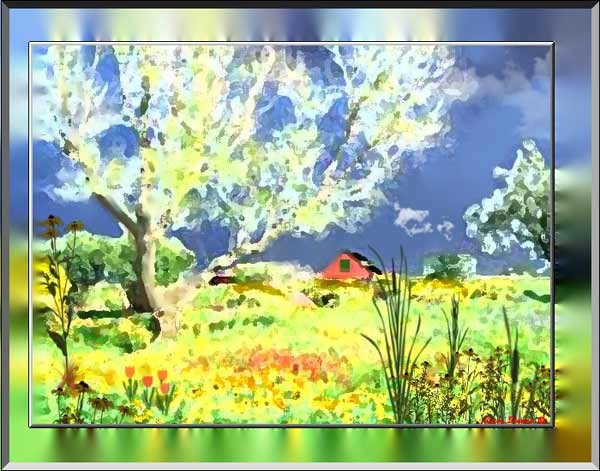 Summer's field