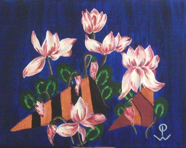 Cyclamen - a little different