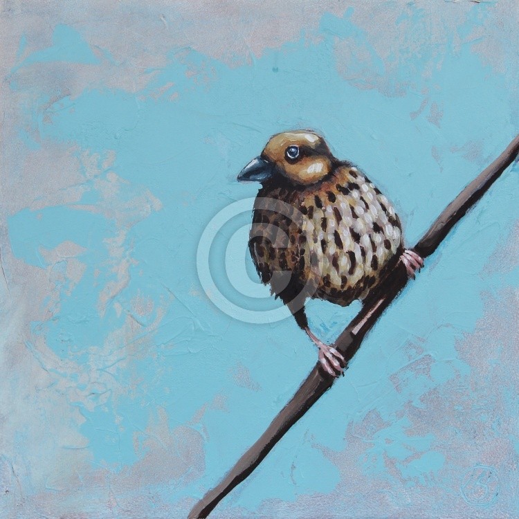 Perched