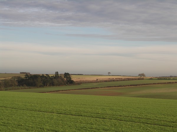 Fields 2