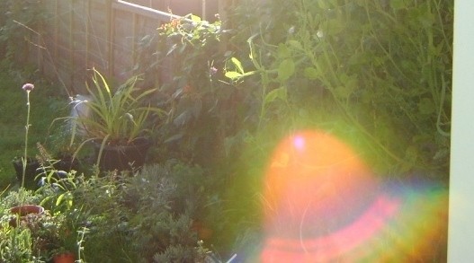 colours 