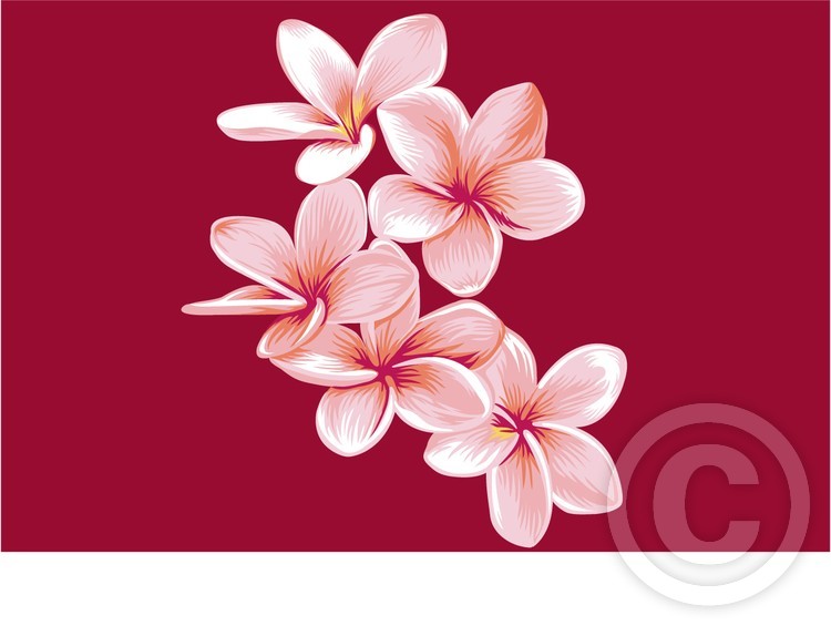 flower3