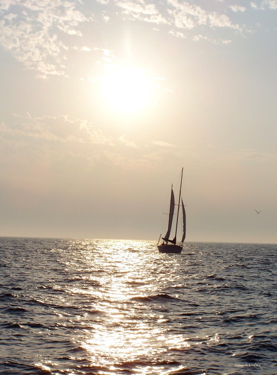 Sailing into the Channel