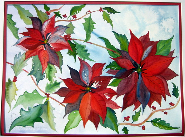 Poinsettias