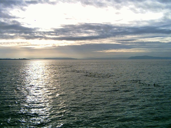 seattle harbour