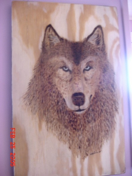 Wolf
