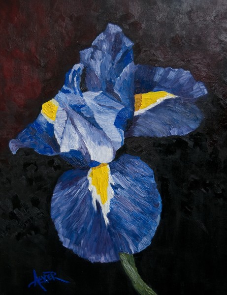 Iris 2