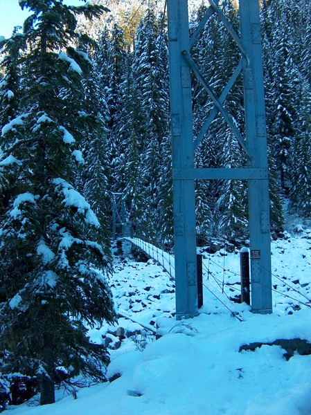 The Suspension Bridge