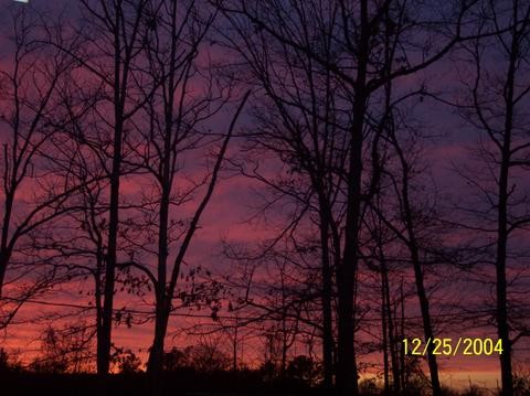 God's Pallete