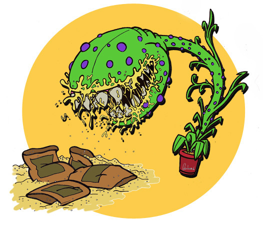 Nasty Plant