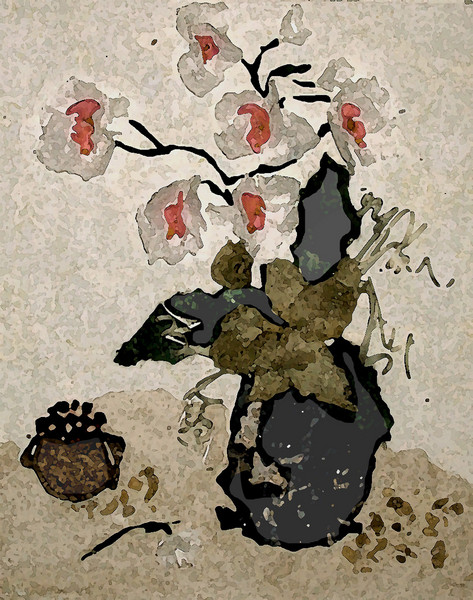 Orchids