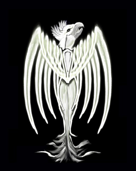 Shades of the thunderbird