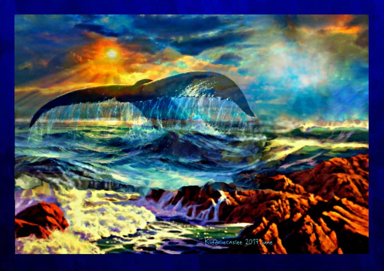 Evening Splash * 2017