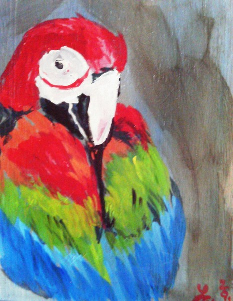 Macaw 2