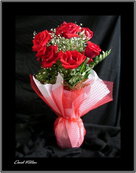 Roses on Black