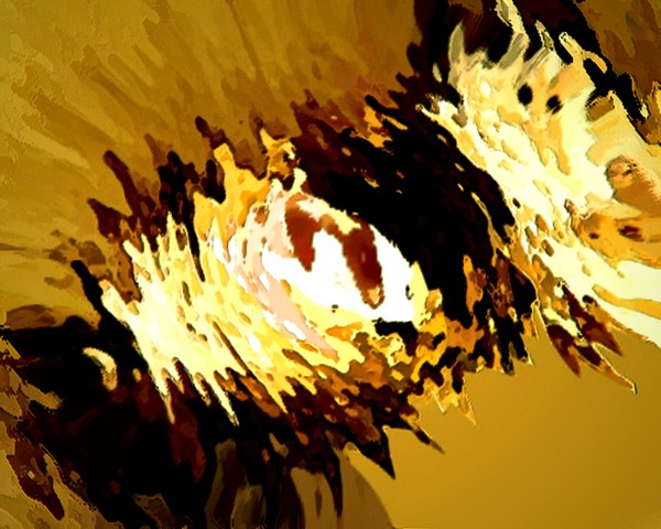 AB73.jpg