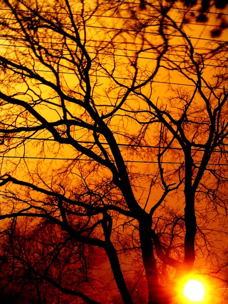 winter nights