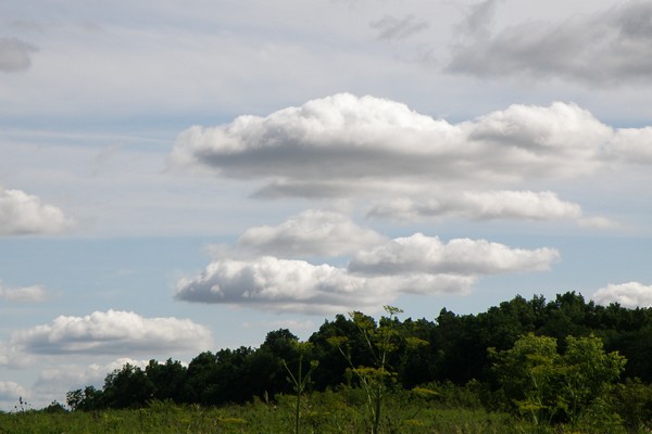 Southern Sky