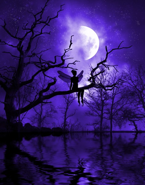 Celestial Night