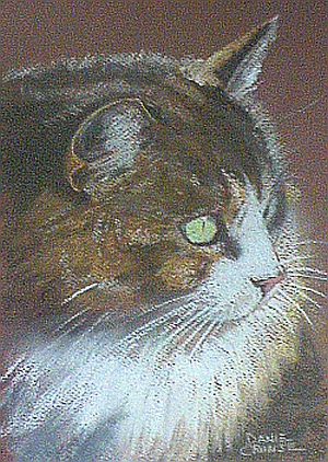 Catface