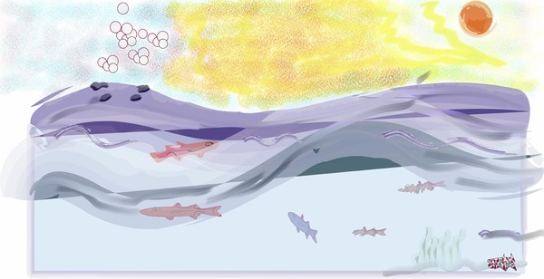 fish