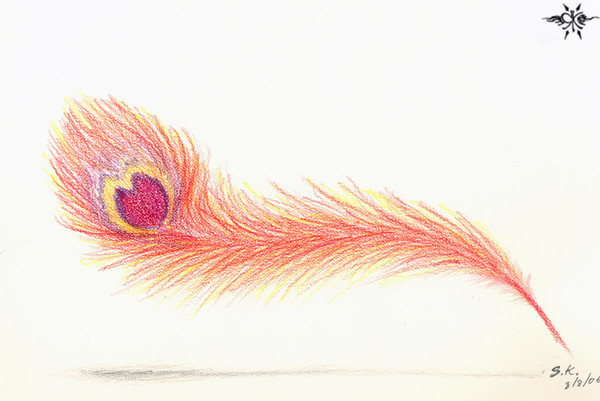 How to Draw a Phoenix with Water-Soluble Graphite Pencils