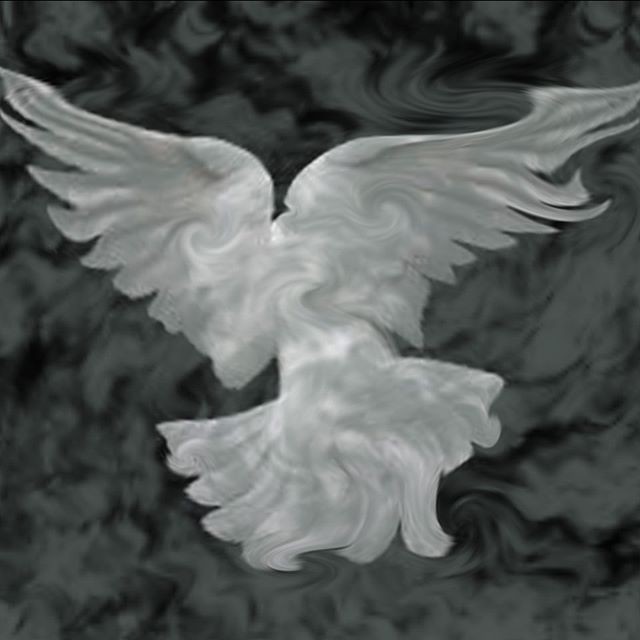 Dreams take flight