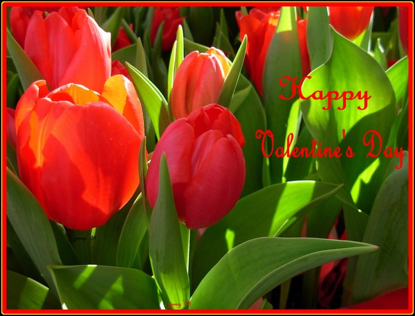 My Heart To You