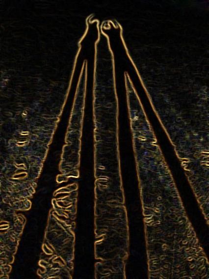 Friends in shadow