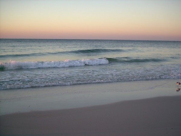The Beach