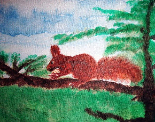 Squirrel on Branch