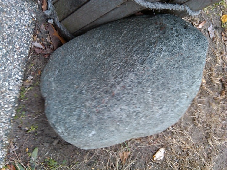 IMG01362-20101121-1333