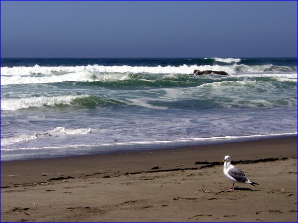 Pacific Coast