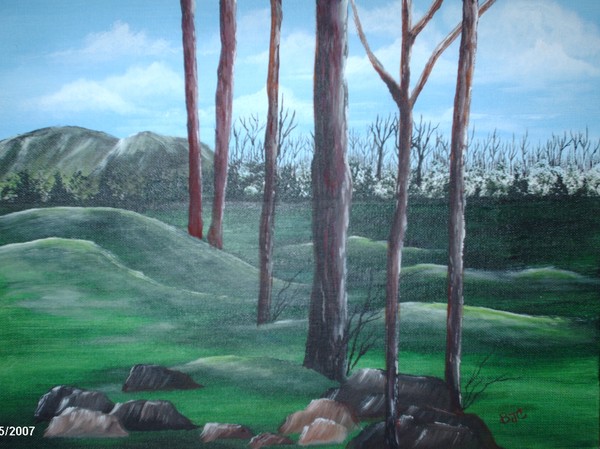 the clearing
